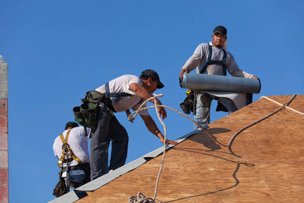 Best Storm Damage Roof Repair  in Adamsville, TN