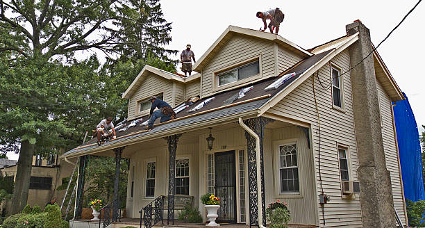 Best Gutter Installation and Roofing  in Adamsville, TN